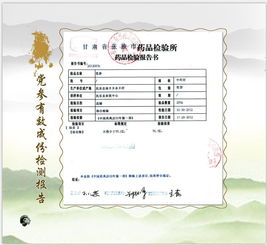張掖民樂縣 守正創新筑基石，嚴把質量兩道關