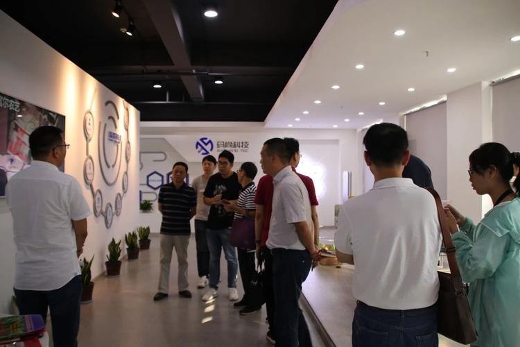 浙江碼尚科技股份